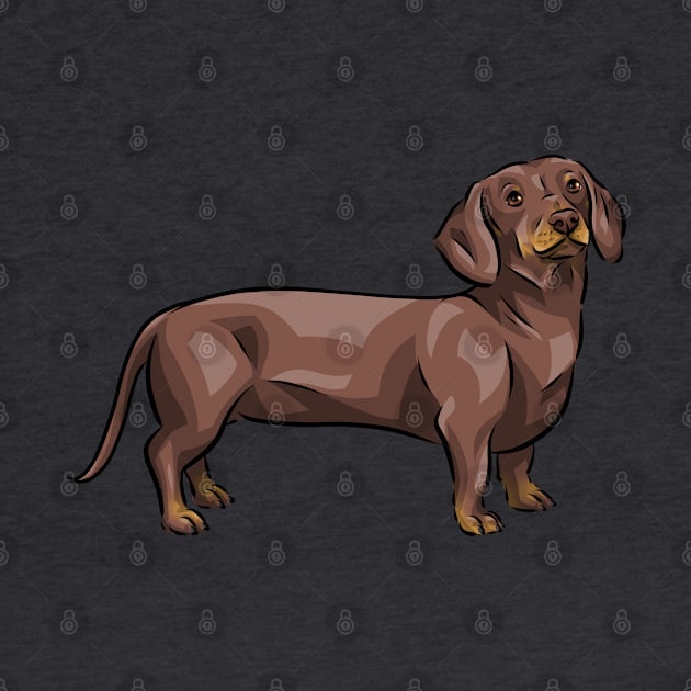 Chocolate and Tan Dachshund Dog by Shirin Illustration